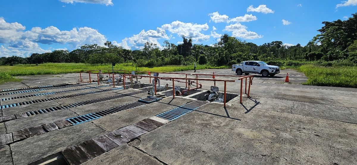 Block 8 field site
